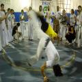 DSCN2647.JPG