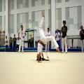 IMG_2885.jpg
