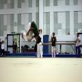 IMG_2941.jpg