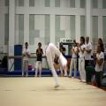 IMG_2956.jpg