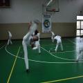 IMG_3271.jpg