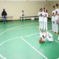 IMG_3318.jpg