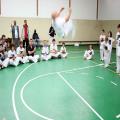 IMG_3342.jpg