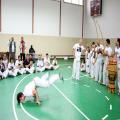 IMG_3364.jpg