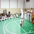 IMG_3394.jpg