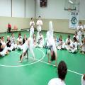 IMG_3539.jpg